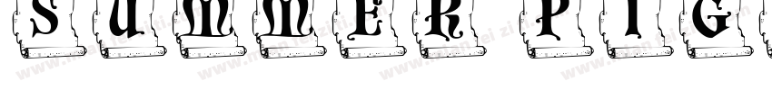 summer pigceg字体转换